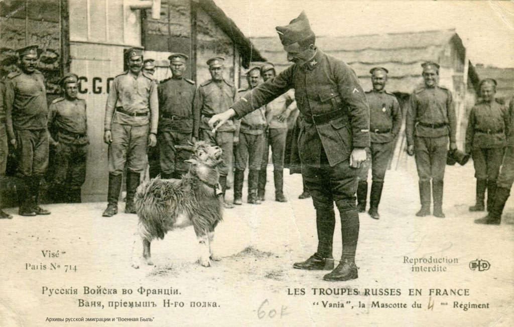 Русский экспедиционный корпус во Франции, Ваня
