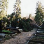 русское кладбище Сент-Женевьев-де-Буа после урагана