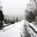 Русское кладбище Сен-Женевьев-де-Буа зимой снег