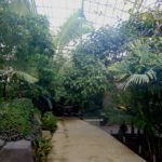 тропический павильон в Венсенском зоопарке Парижа