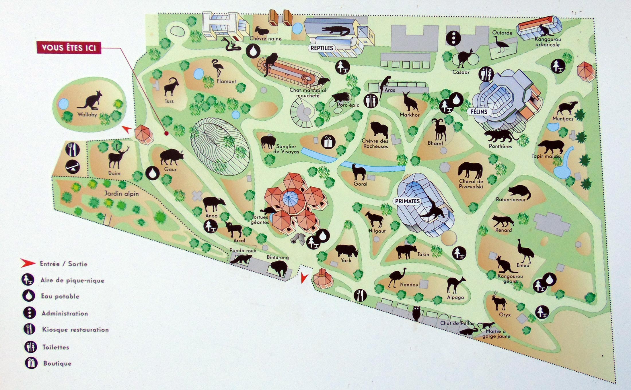 Карта новосибирского зоопарка