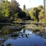 экскурсия по водному саду Живерни, Клод Моне