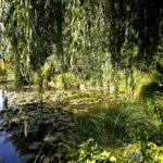 Пестрый сад Клода Моне, усадьба в Живерни