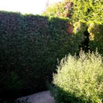 правильные кусты сада Клода Моне усадьба в Живерни