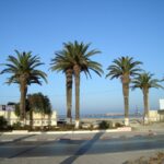 Тунис. Бизерта. Экскурсии. Пляж и пальмы
