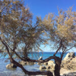 Остров Корсика, лучшие курорты и пляжи