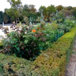 Париж Сад Тюильри угол с цветами